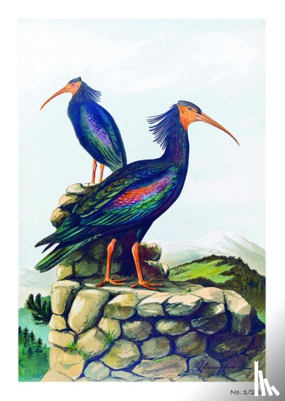 Naumann, Johann Friedrich - Johann Friedrich Naumann - Die Vögel Mitteleuropas