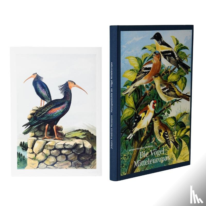Naumann, Johann Friedrich - Johann Friedrich Naumann - Die Vögel Mitteleuropas