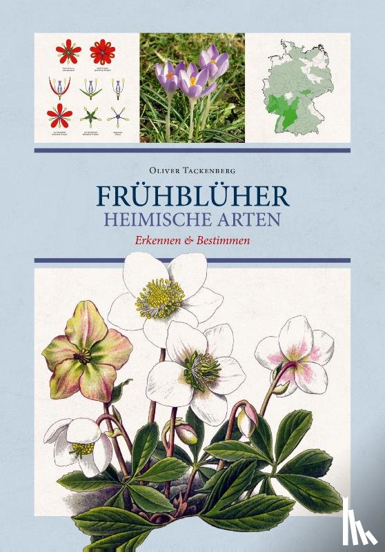Tackenberg, Oliver - Frühblüher. Heimische Arten.