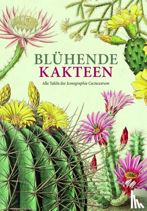  - Blühende Kakteen