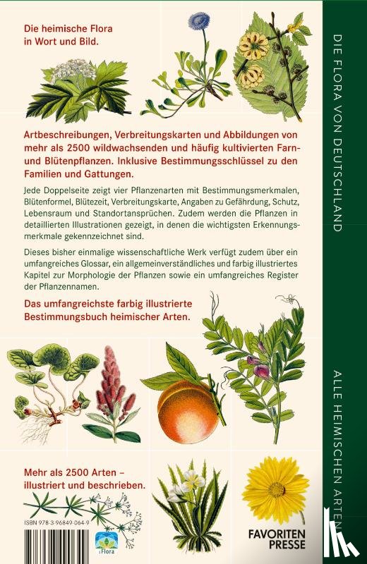Tackenberg, Oliver - Die Flora von Deutschland. Alle heimischen Arten