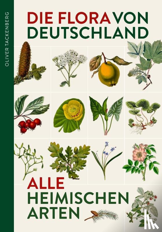 Tackenberg, Oliver - Die Flora von Deutschland. Alle heimischen Arten