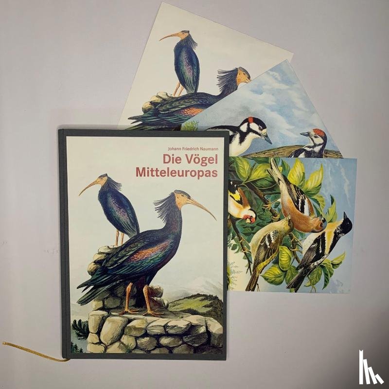 Naumann, Johann Friedrich - Die Vögel Mitteleuropas (Luxusausgabe im Großformat)