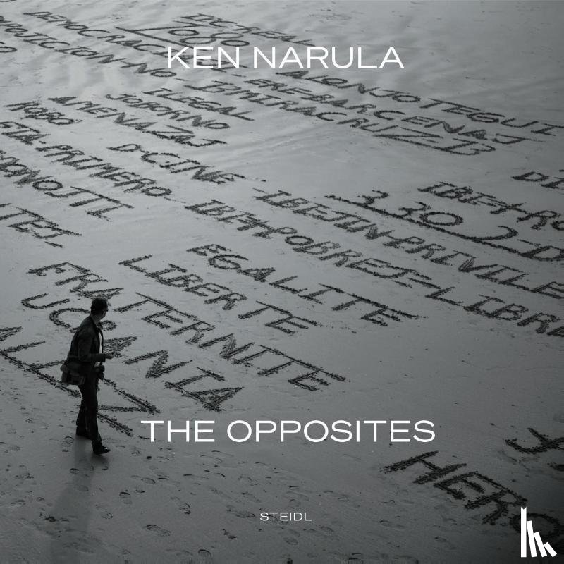 Narula, Ken, Narula, Rammy - Ken Narula and Rammy Narula: Lost & Found