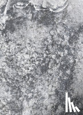 Horn, Roni - Roni Horn: A Dream Not Dreamt