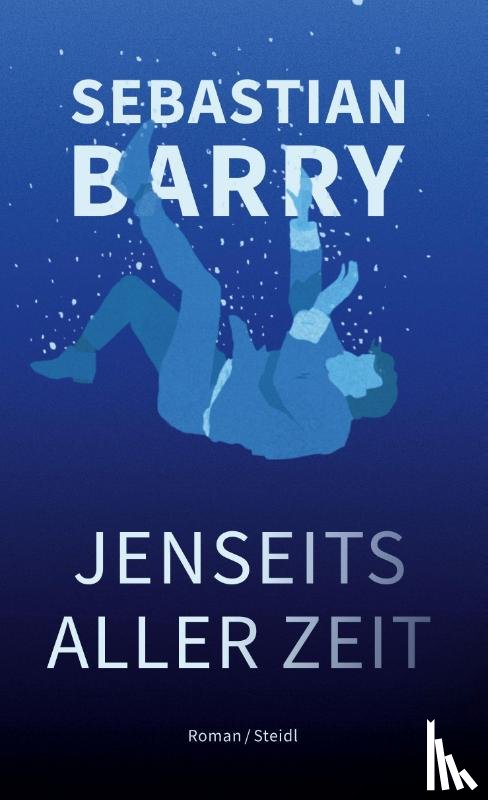 Barry, Sebastian - Jenseits aller Zeit