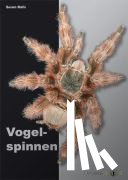 Rafn, Søren - Vogelspinnen