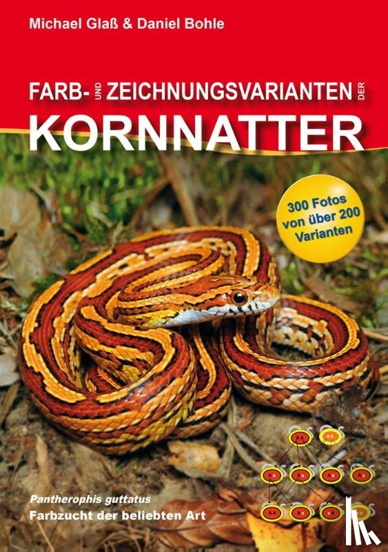Glaß, Michael, Bohle, Daniel - Farb- und Zeichnungsvarianten der Kornnatter