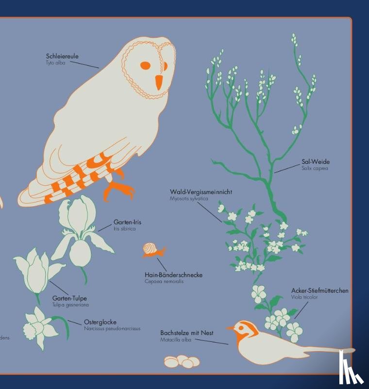  - Kleine Vogel-Wunderkammer