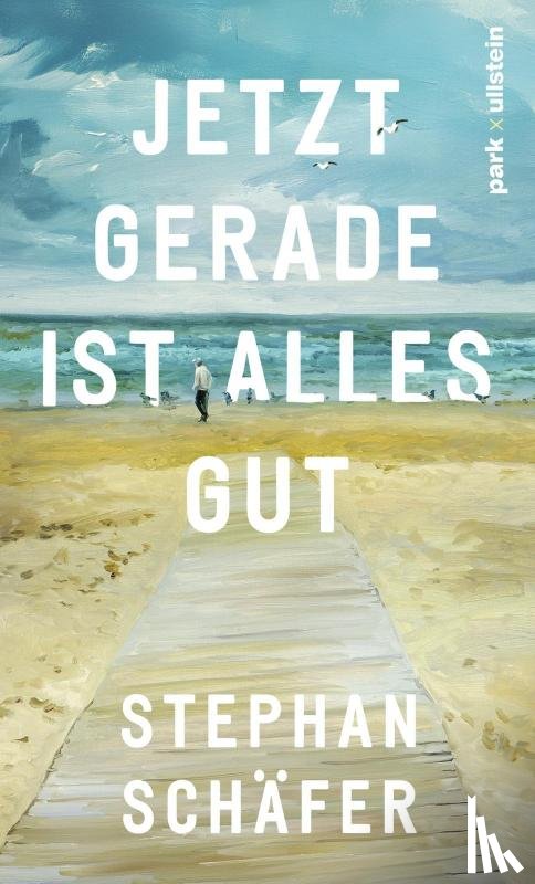 Schäfer, Stephan - Jetzt gerade ist alles gut