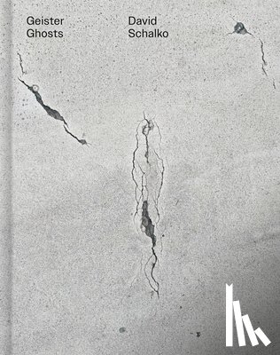 Schalko, David - Geister Ghosts