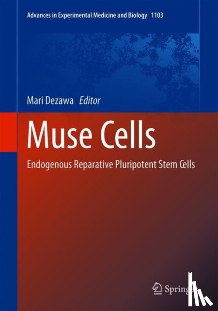  - Muse Cells