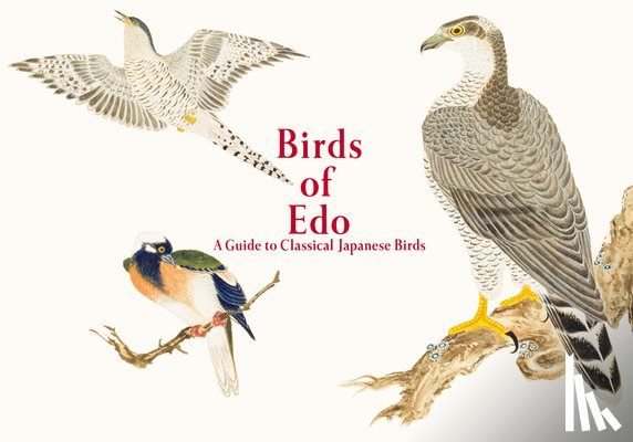 International, PIE - Birds of Edo