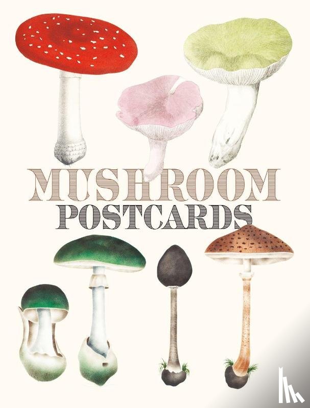  - Mushroom Postcards