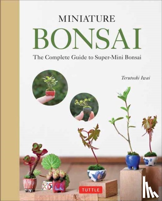Iwai, Terutoshi - Miniature Bonsai