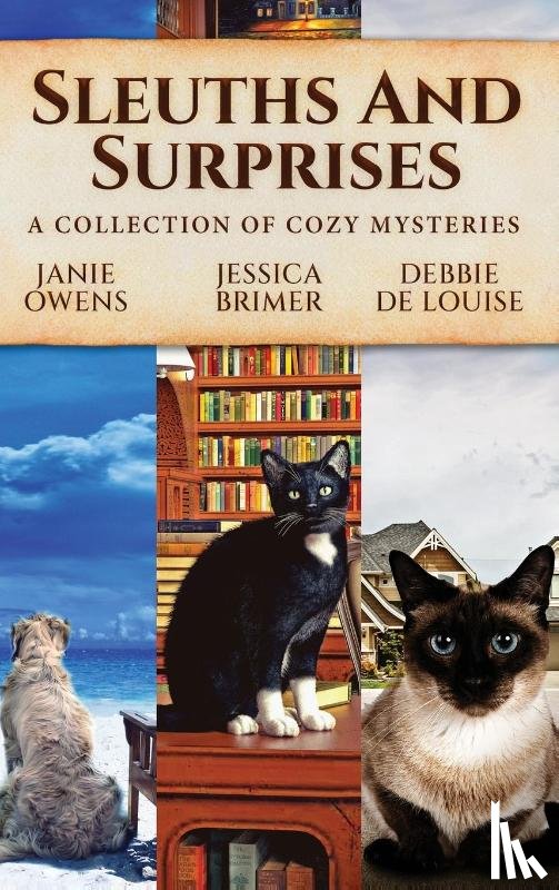 Owens, Janie, Brimer, Jessica, De Louise, Debbie - Sleuths and Surprises