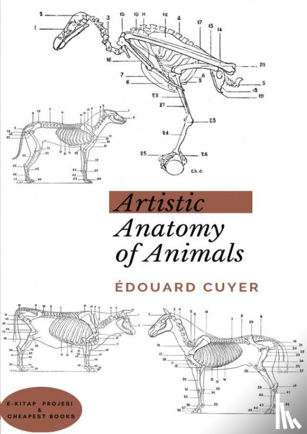 Cuyer, Édouard - Artistic Anatomy of Animals