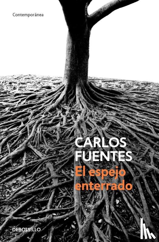 Fuentes, Carlos - Fuentes, C: Espejo Enterrado / The Buried Mirror