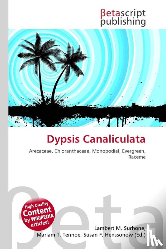  - Dypsis Canaliculata