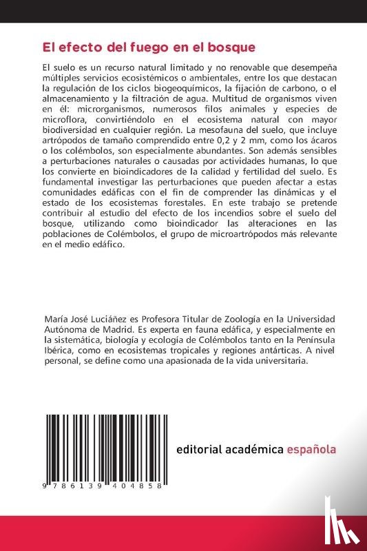 Luciáñez Sánchez, María José, Rubio Gómez, Enrique, Vega Manchón, Marta - El efecto del fuego en el bosque