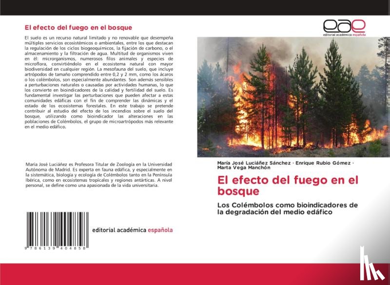 Luciáñez Sánchez, María José, Rubio Gómez, Enrique, Vega Manchón, Marta - El efecto del fuego en el bosque