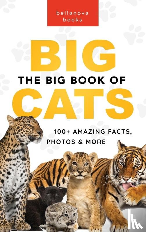 Kellett, Jenny - The Big Book of Big Cats