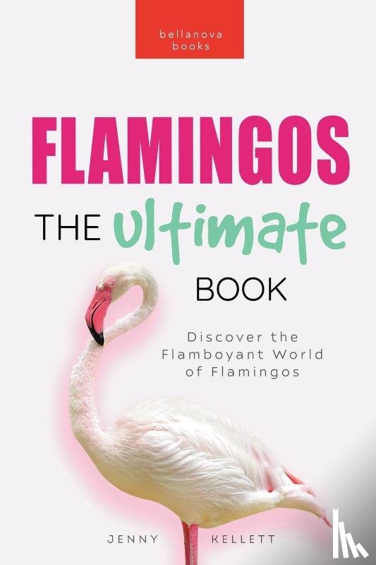 Kellett, Jenny - Flamingos