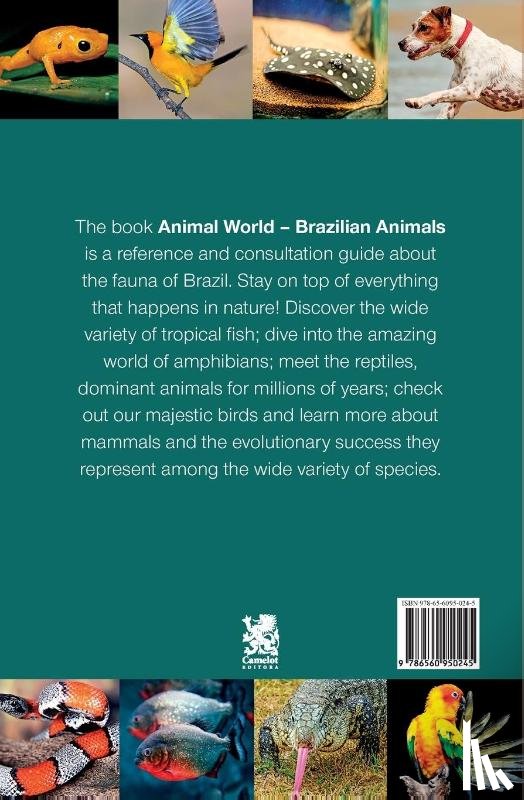 Editora, Camelot Editora - Animal World