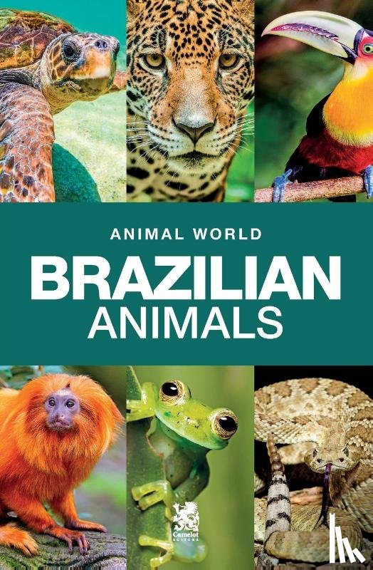 Editora, Camelot Editora - Animal World