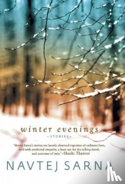 Sarna, Navtej - Winter Evenings