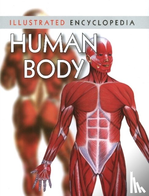  - Human Body