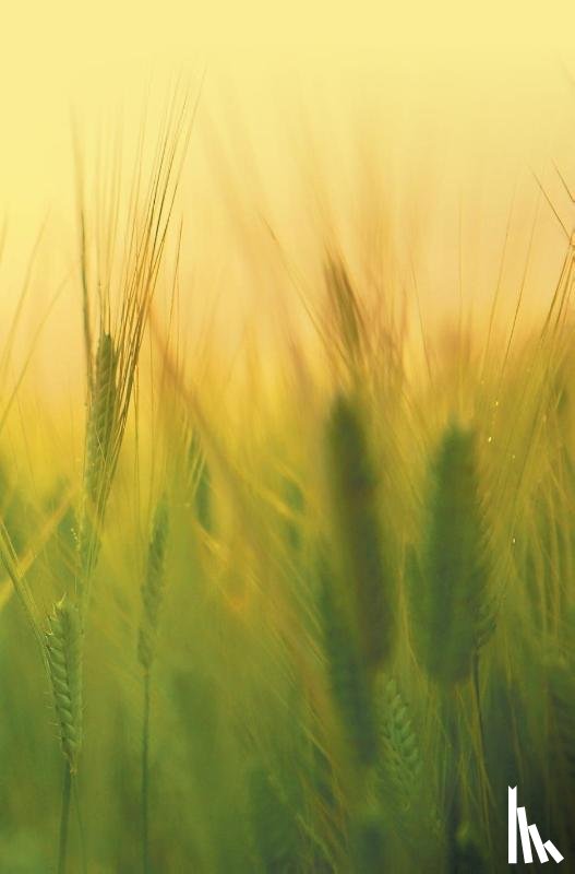 Sharma, Harsha - Agricultural Microbiology