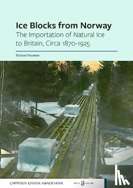 Freeman, Michael - Ice Blocks from Norway