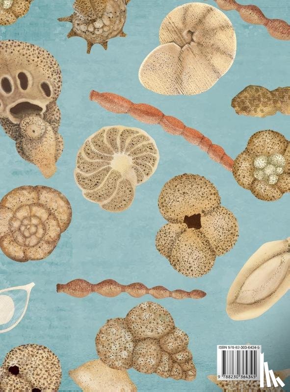 Panieri, Giuliana, Cassani, Roberta - Little Creatures of the Sea - Book about Foraminifera