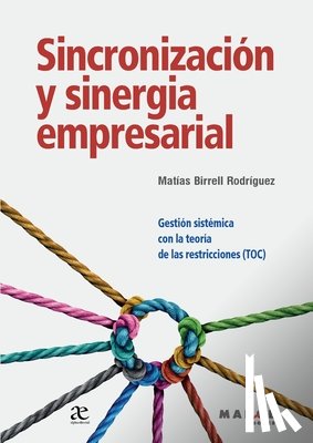 Birrell Rodríguez, Matías - Sincronización y sinergia empresarial