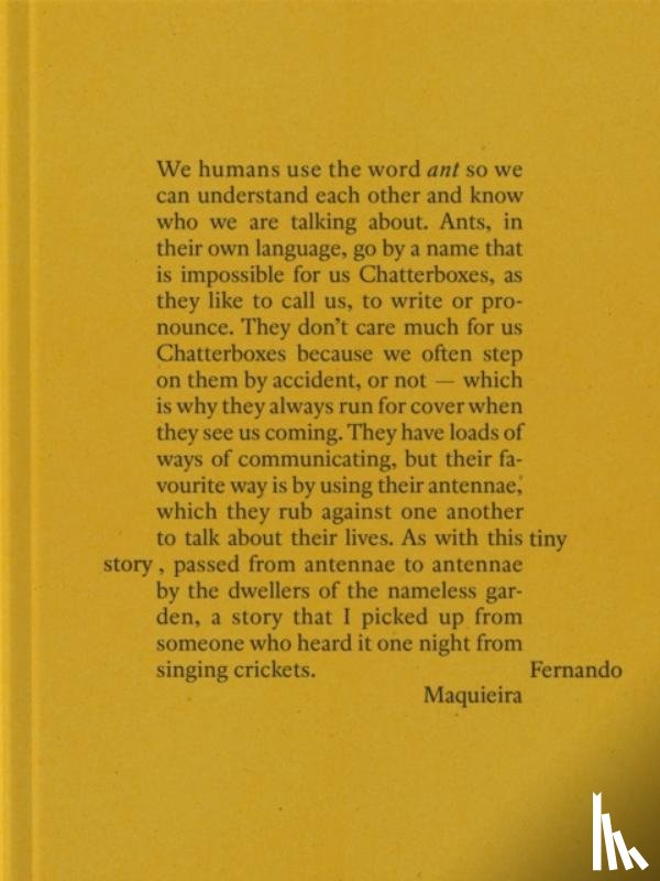 Maquieria, Fernando - Fernando Maquieira: A Tiny Story