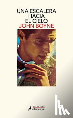 Boyne, John - Una Escalera Hacia El Cielo / A Ladder to the Sky