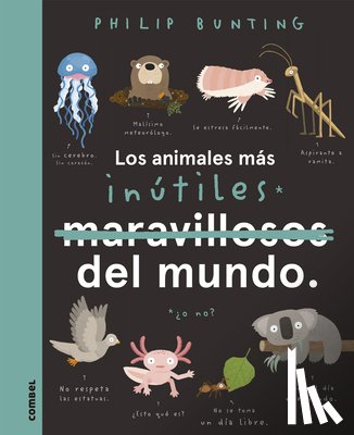 Bunting, Philip - SPA-ANIMALES MAS INUTILES DEL