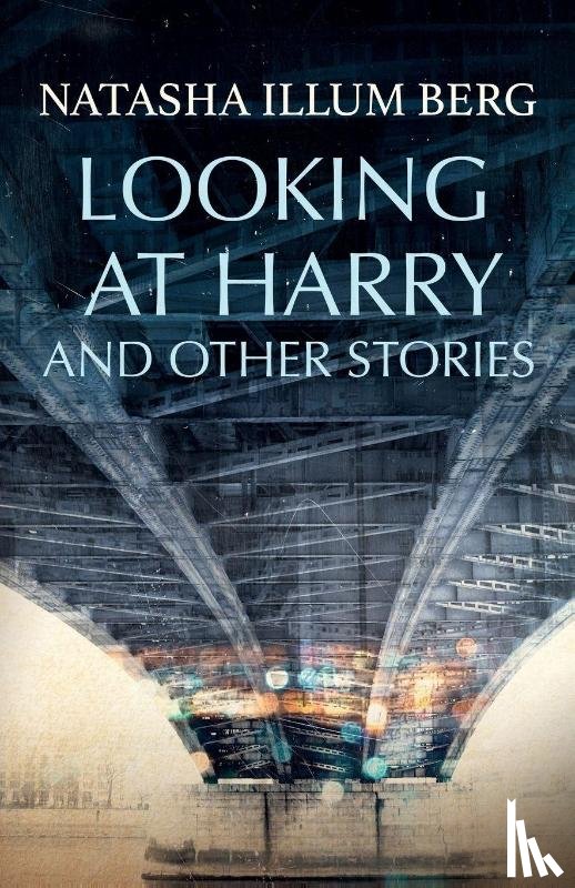Berg, Natasha Illum - Looking at Harry and Other Stories