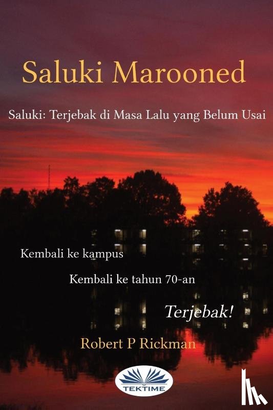 Robert Rickman - Saluki Marooned - Saluki
