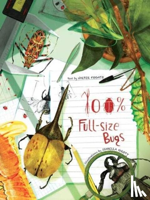 Valter Fogato - 100% Full Size Bugs