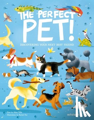 Foo, Rachel, Villa, Altea - The Perfect Pet!