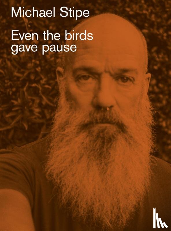 Stipe, Michael - Michael Stipe: Even the birds gave pause
