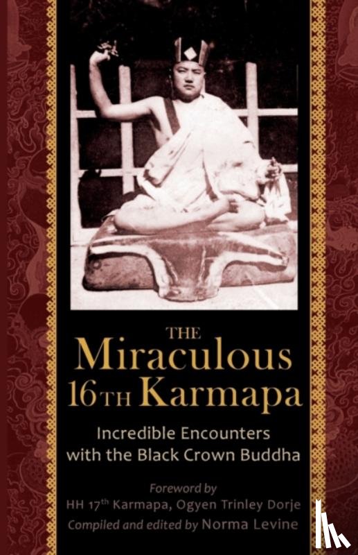 Levine, Naomi - The Miraculous 16th Karmapa