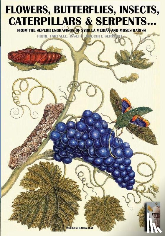 Cristini, Luca Stefano - flowers, butterflies, insects, caterpillars & serpents...