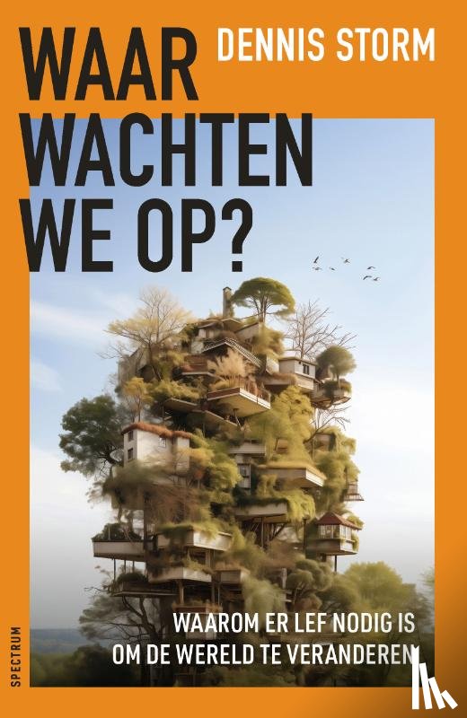 Storm, Dennis - Waar wachten we op?