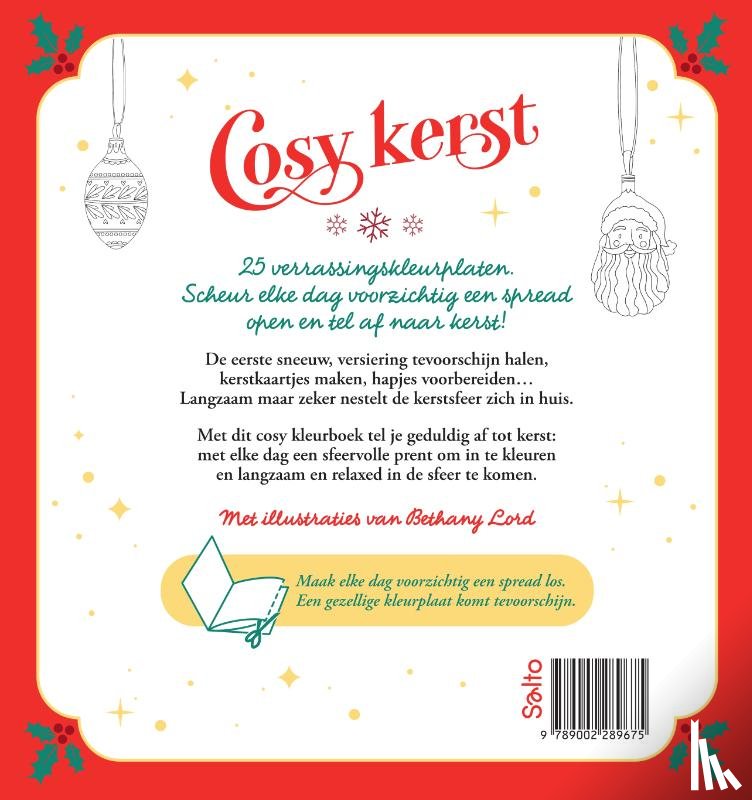 Lord, Bethany - Cosy Kerst Adventskleurboek
