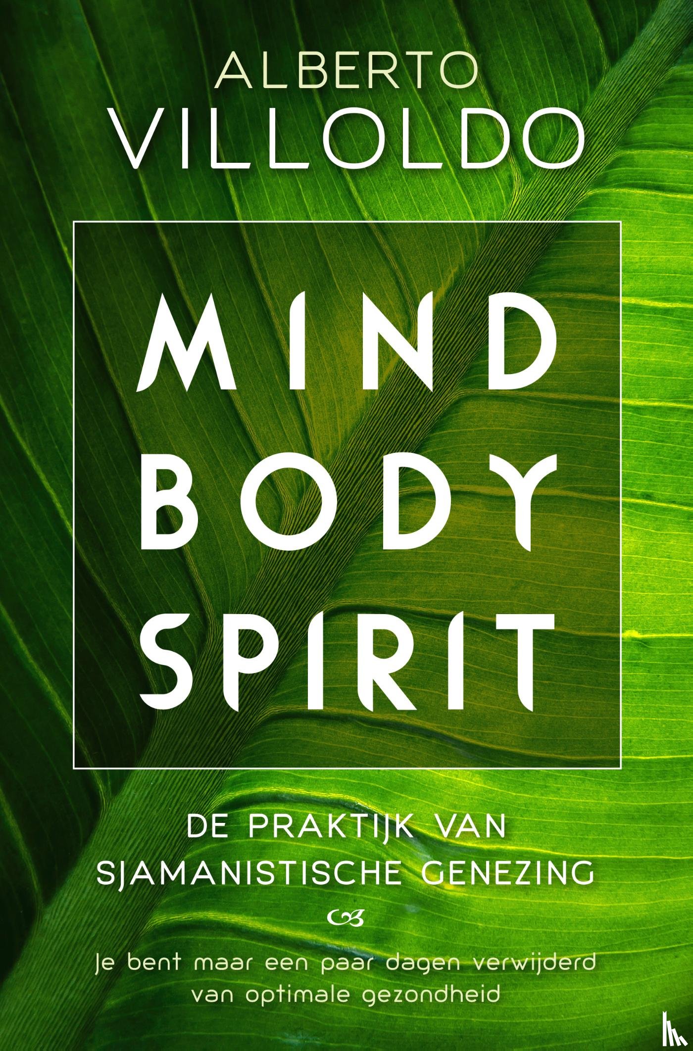 Villoldo, Alberto - Mind body spirit