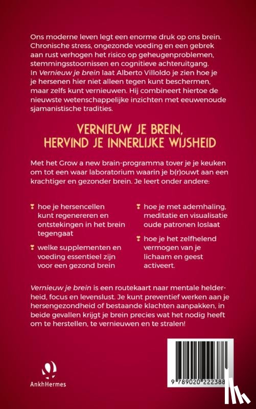Villoldo, Alberto - Vernieuw je brein
