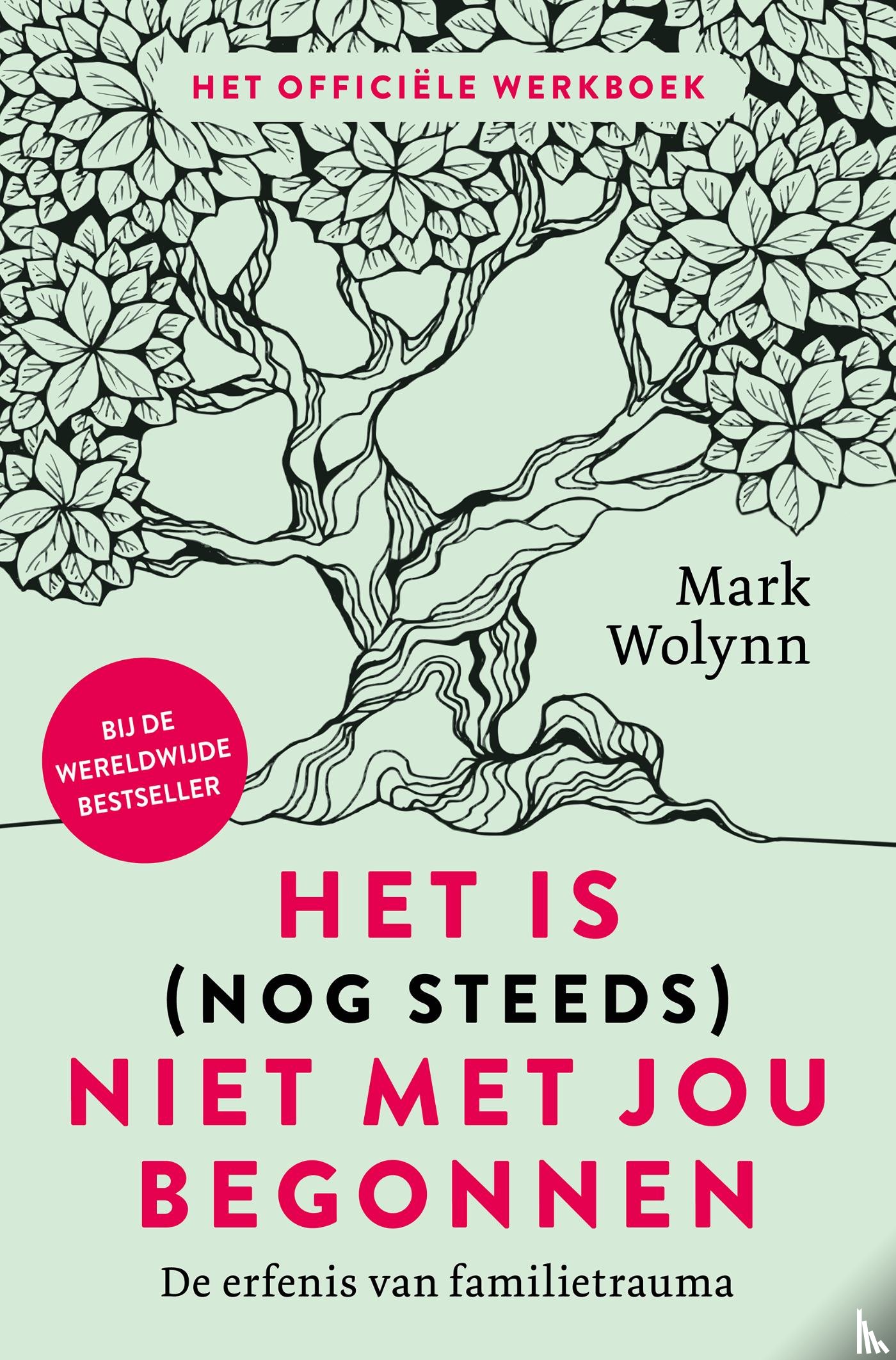 Wolynn, Mark - Het is (nog steeds) niet met jou begonnen